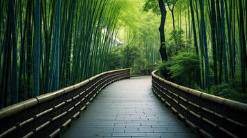 AI generated A calm and soothing scene of a tranquil bamboo forest with a soft light and a gentle breeze photo