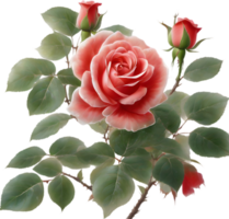 AI generated Colorful rose with leaves clipart. png