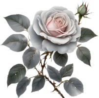 AI generated Colorful rose with leaves clipart. png