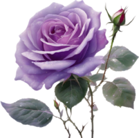 AI generated Colorful rose with leaves clipart. png