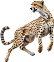 AI generated Close-up painting of a cheetah. png