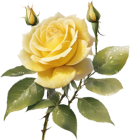 AI generated Colorful rose with leaves clipart. png