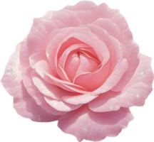 AI generated Colorful rose with leaves clipart. png