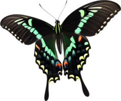 AI generated Colorful and elegant butterfly image. png