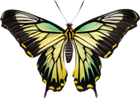 AI generated Colorful and elegant butterfly image. png