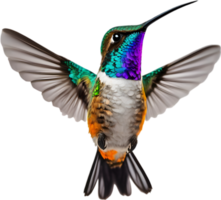 AI generated Close-up image of Bee hummingbird. png