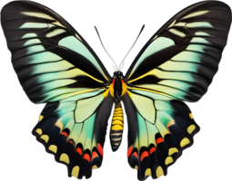 AI generated Colorful and elegant butterfly image. png