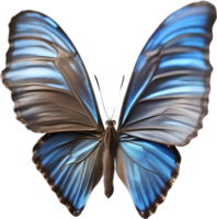 AI generated Colorful and elegant butterfly image. png