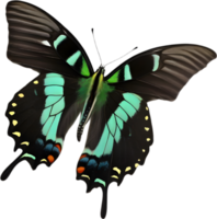 AI generated Colorful and elegant butterfly image. png