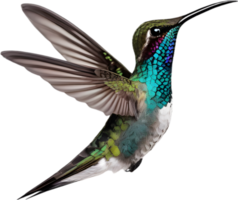 AI generated Close-up image of Bee hummingbird. png