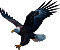 ai généré aquarelle La peinture de chauve Aigle. png