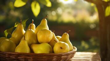 AI generated Woven basket filled with ripe, sun kissed pears photo