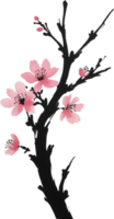 ai generiert Kirsche blühen Blume Zweig, Zeichnung von ein Kirsche blühen Blume Ast mit das japanisch Pinselstrich Technik. png