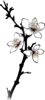 AI generated Cherry blossom flower branch, drawing of a Cherry blossom flower branch using the Japanese brushstroke technique. png