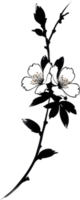 AI generated Cherry blossom flower branch, drawing of a Cherry blossom flower branch using the Japanese brushstroke technique. png