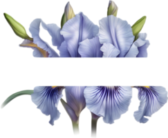 ai generado vistoso pintura de iris floral marco. png