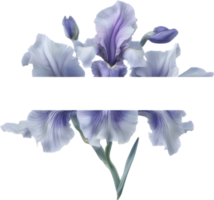 ai generado vistoso pintura de iris floral marco. png