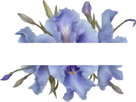 ai généré coloré La peinture de iris floral Cadre. png