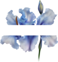 AI generated Colorful painting of Iris floral frame. png