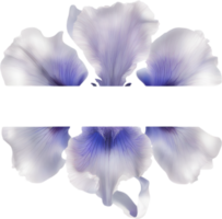 ai generado vistoso pintura de iris floral marco. png