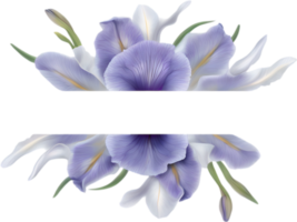 ai generado vistoso pintura de iris floral marco. png