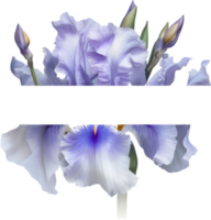 ai généré coloré La peinture de iris floral Cadre. png