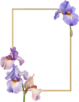 ai généré coloré La peinture de iris floral Cadre. png