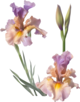 ai gegenereerd kleurrijk schilderij van iris bloemen kader. png