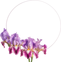 AI generated Colorful painting of Iris floral frame. png