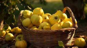 AI generated Basket brimming with freshly harvested quinces photo