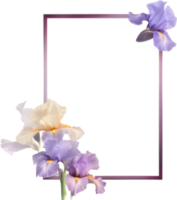 ai généré coloré La peinture de iris floral Cadre. png