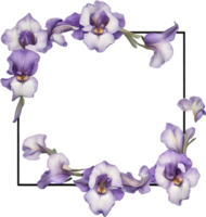 ai generato colorato pittura di iris floreale telaio. png