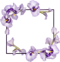 AI generated Colorful painting of Iris floral frame. png