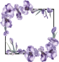 ai généré coloré La peinture de iris floral Cadre. png