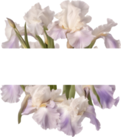 ai generado vistoso pintura de iris floral marco. png