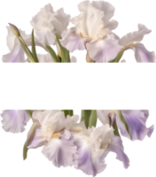 ai généré coloré La peinture de iris floral Cadre. png