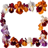 AI generated Colorful painting of Iris floral frame. png