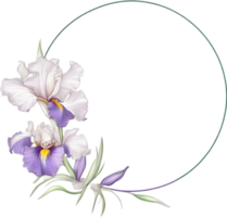 ai generato colorato pittura di iris floreale telaio. png