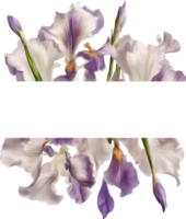 AI generated Colorful painting of Iris floral frame. png