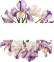 AI generated Colorful painting of Iris floral frame. png