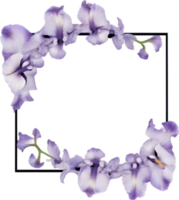 ai généré coloré La peinture de iris floral Cadre. png