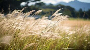 AI generated Field of tall grass swaying in the wind photo