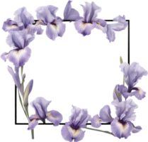 ai gegenereerd kleurrijk schilderij van iris bloemen kader. png