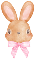 Kokette Hase mit Rosa Band Bogen Aquarell png