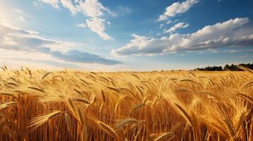 AI generated Picturesque barley field swaying in the breeze photo