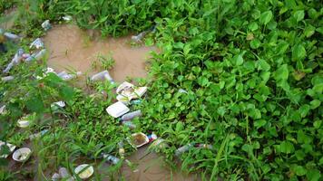 spazzatura e erbacce galleggiante su il superficie di il fiume. acqua giacinto e rifiuto galleggiante su il acqua. natura sfondo. video