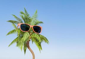 Palm Tree with Sunglasses Under Clear Blue Sky photo