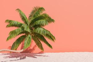 Palm Tree Against Solid Color Wall Background with Sand photo