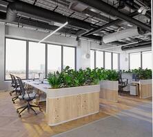 modern office interior with plants. photo