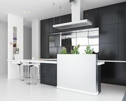 modern kitchen black and white interior. photo